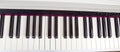 Electronic piano keys. Musical instruments hobby