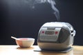 Electronic rice cooker in the kitchen on dark background Royalty Free Stock Photo