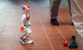 Electronic Robot Created by Students from Czech Technical University in Prague