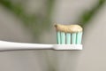 Natural tooth paste for healthy teeth