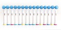 Electronic toothbrush heads on white