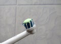 Electronic toothbrush and toothpaste close up