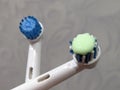 Electronic toothbrush and toothpaste close up