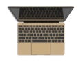 Electronics, gold notebook with open lid, top view, marker style, 3D