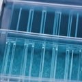 electrophoresis