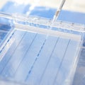 Electrophoresis Royalty Free Stock Photo