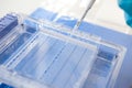 Electrophoresis Royalty Free Stock Photo
