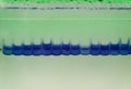 Electrophoresis for protein separation. Scientific research technique Royalty Free Stock Photo
