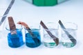 Electroplating experiment in chemistry laboratory. Royalty Free Stock Photo