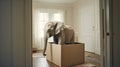 elephant in small room, concept of cramped condition with space constraints, lack of space in living room Royalty Free Stock Photo