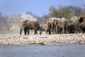 A herd of thirsty elephants at the klein Namutoni water hole