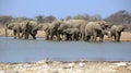 A herd of thirsty elephants at the klein Namutoni water hole