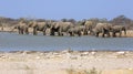 A herd of thirsty elephants at the klein Namutoni water hole