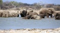 A herd of thirsty elephants at the Klein Namutoni water hole