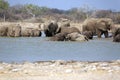 A herd of thirsty elephants at the klein Namutoni water hole