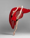 Young beautiful skinny ballerina is posing in studio