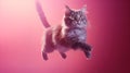 The Elegance Of A Cat\'s Graceful Leap Towards A Elusive Red Laser Dot A Delicate Pastel-Colored Amb
