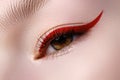 Elegance close-up of beautiful female eye with fashion trend bright colors eyeshadow and eyeliner. Macro shot of beautiful Royalty Free Stock Photo