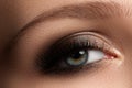 Elegance close-up of female eye with classic dark brown smoky ma Royalty Free Stock Photo