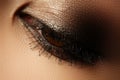 Elegance close-up of female eye with classic dark brown smoky ma Royalty Free Stock Photo