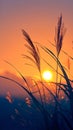 Elegance in dusk A graceful grass flower in silhouette