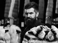 Elegance and glamour concept. Customer with beard chooses furry coats. Man with strict face