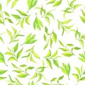 Elegance green tea leaves seamless pattern. Watercolor.