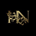 Elegance Luxury deco letter H and N, HN golden logo vector design, alphabet font initial in art decorative style