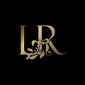 Elegance Luxury deco letter L and R, LR golden logo vector design, alphabet font initial in art decorative style