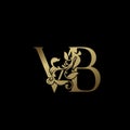 Elegance Luxury deco letter V and B, VB golden logo vector design, alphabet font initial in art decorative style