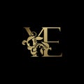 Elegance Luxury deco letter Y and E, YE golden logo vector design, alphabet font initial in art decorative style