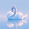 Elegance in Nature: Swan with Decorative Neck Royalty Free Stock Photo