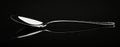 Elegance is represented by the image of a polished silver spoon reflecting light, set against a dark background Royalty Free Stock Photo