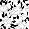 Elegance seamless pattern with flower peony. Floral background Royalty Free Stock Photo