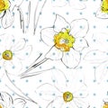 Elegance Seamless pattern with flowers narcissus