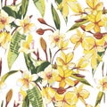Elegance seamless pattern in vintage style with Plumeria flowers. EPS 10