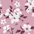 Elegance seamless pattern with white apple flowers Royalty Free Stock Photo