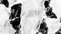 Elegant Black and White Marble Texture Background Good Resolution Stock image Royalty Free Stock Photo