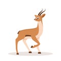 Elegant african antelope. Gazelle with horns on white background. Mammal animal. Vector illustration in flat cartoon Royalty Free Stock Photo