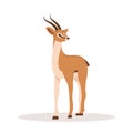 Elegant african antelope. Gazelle with horns on white background. Mammal animal. Vector illustration in flat cartoon Royalty Free Stock Photo