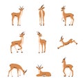 Elegant african antelope. Set of gazelles with horns on white background. Mammal animal. Vector illustration in flat Royalty Free Stock Photo