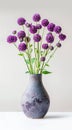 Elegant alliums with spherical blooms in a textured vase against a neutral background Royalty Free Stock Photo