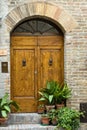 Elegant antique door entrance