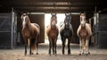 Elegant Arabian Horses in a Well-Lit Stable Royalty Free Stock Photo
