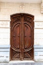 Elegant Arched Wooden Door