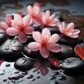 spa stones with flowers background