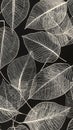 Monochrome Skeleton Leaves Pattern on Black Background Royalty Free Stock Photo