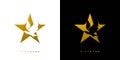 Elegant and attractive bird star logo design