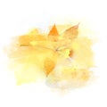 Elegant Autumn watercolor design element, isolated on white