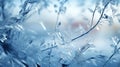 Elegant background of frozen leaves in ice, concept of cryotherapy for skin care. Delicate texture. Frosty beautiful